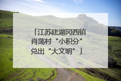 江苏建湖冈西镇肖荡村“小积分”兑出“大文明”