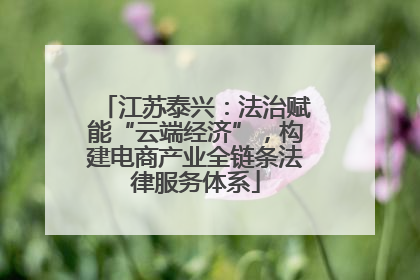 江苏泰兴：法治赋能“云端经济”，构建电商产业全链条法律服务体系