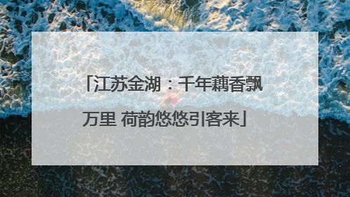 江苏金湖：千年藕香飘万里 荷韵悠悠引客来