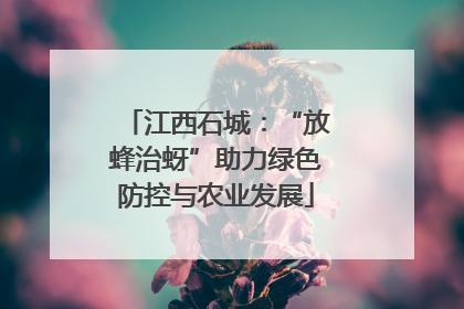 江西石城:“放蜂治蚜”助力绿色防控与农业发展
