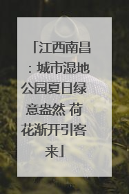 江西南昌：城市湿地公园夏日绿意盎然 荷花渐开引客来