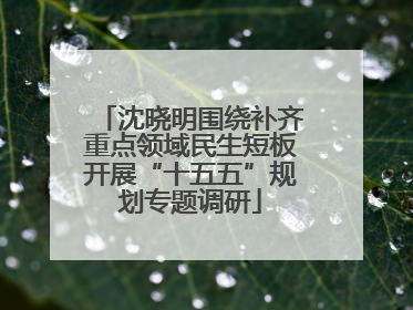 沈晓明围绕补齐重点领域民生短板开展“十五五”规划专题调研