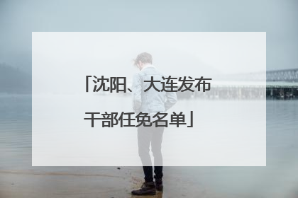 沈阳、大连发布干部任免名单