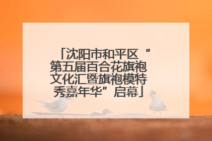 沈阳市和平区“第五届百合花旗袍文化汇暨旗袍模特秀嘉年华”启幕
