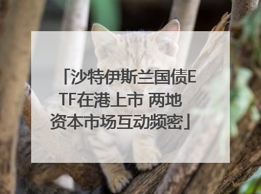 沙特伊斯兰国债ETF在港上市 两地资本市场互动频密
