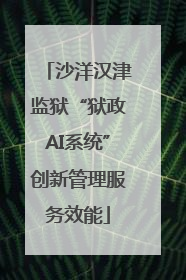 沙洋汉津监狱“狱政AI系统”创新管理服务效能