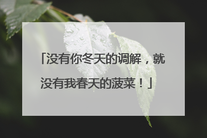 没有你冬天的调解，就没有我春天的菠菜！