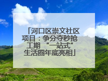 河口区崇文社区项目：争分夺秒抢工期 “一站式”生活圈年底亮相