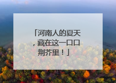 河南人的夏天，藏在这一口口荆芥里！