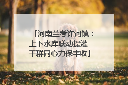 河南兰考许河镇：上下水库联动提灌 干群同心力保丰收