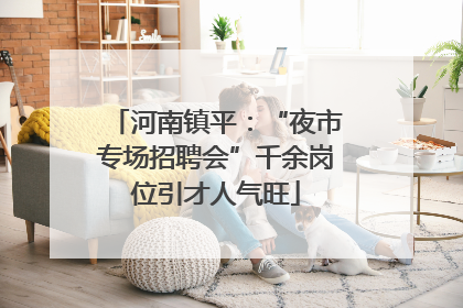 河南镇平：“夜市专场招聘会”千余岗位引才人气旺