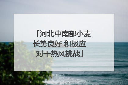 河北中南部小麦长势良好 积极应对干热风挑战