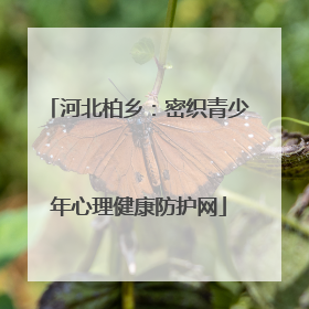 河北柏乡：密织青少年心理健康防护网
