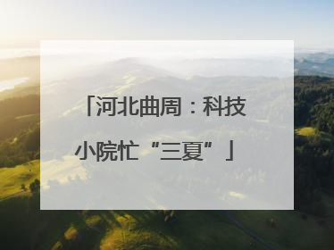 河北曲周：科技小院忙“三夏”