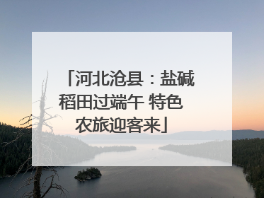河北沧县：盐碱稻田过端午 特色农旅迎客来