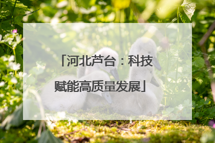 河北芦台：科技赋能高质量发展