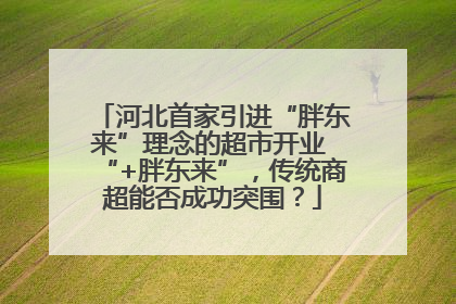 河北首家引进“胖东来”理念的超市开业 “+胖东来”，传统商超能否成功突围？
