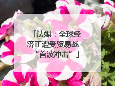 法媒：全球经济正遭受贸易战“首波冲击”