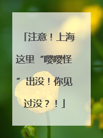 注意！上海这里“嘤嘤怪”出没！你见过没？！
