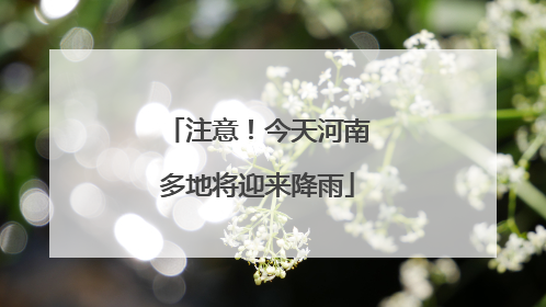 注意！今天河南多地将迎来降雨