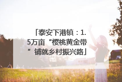泰安下港镇：1.5万亩“樱桃黄金带”铺就乡村振兴路