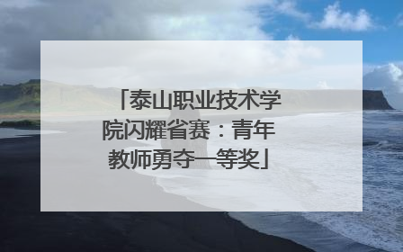泰山职业技术学院闪耀省赛：青年教师勇夺一等奖