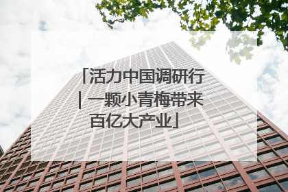 活力中国调研行｜一颗小青梅带来百亿大产业