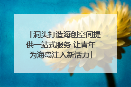 洞头打造海创空间提供一站式服务 让青年为海岛注入新活力