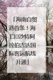 海南自贸港首条！海口⇌沙特阿拉伯吉达国际客运航线开通