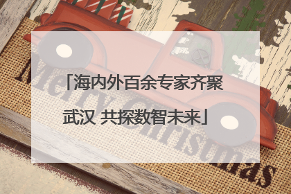 海内外百余专家齐聚武汉 共探数智未来