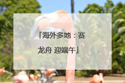 海外多地：赛龙舟 迎端午