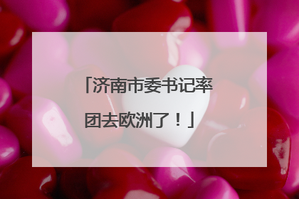 济南市委书记率团去欧洲了！