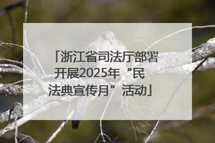 浙江省司法厅部署开展2025年“民法典宣传月”活动