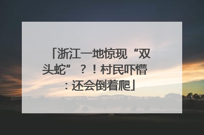 浙江一地惊现“双头蛇”？！村民吓懵：还会倒着爬