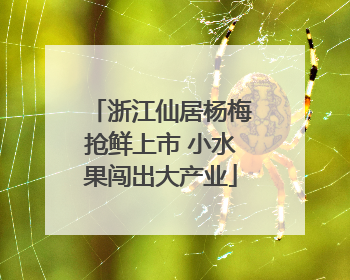 浙江仙居杨梅抢鲜上市 小水果闯出大产业