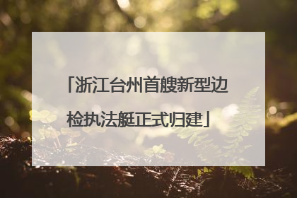 浙江台州首艘新型边检执法艇正式归建