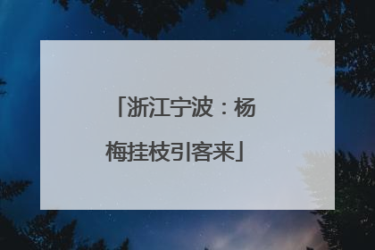 浙江宁波：杨梅挂枝引客来
