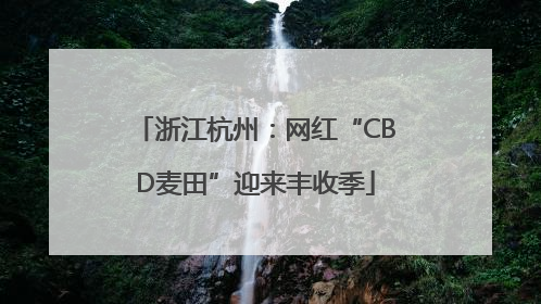 浙江杭州：网红“CBD麦田”迎来丰收季