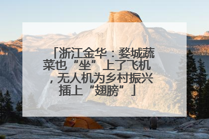 浙江金华：婺城蔬菜也“坐”上了飞机，无人机为乡村振兴插上“翅膀”