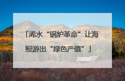 浠水“锅炉革命”让海鳗游出“绿色产值”