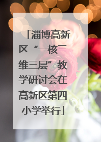 淄博高新区“一核三维三层”教学研讨会在高新区第四小学举行
