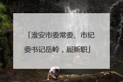 淮安市委常委、市纪委书记岳岭，履新职