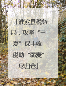 淮滨县税务局：攻坚“三夏”保丰收 税助“弱麦”尽归仓