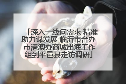 深入一线问需求 精准助力谋发展 临沂市台办 市港澳办商城出海工作组到平邑县走访调研