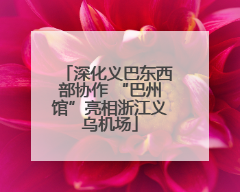 深化义巴东西部协作 “巴州馆”亮相浙江义乌机场