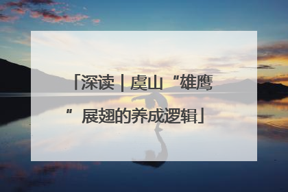 深读｜虞山“雄鹰”展翅的养成逻辑