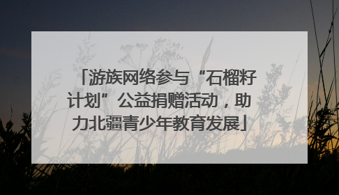 游族网络参与“石榴籽计划”公益捐赠活动，助力北疆青少年教育发展