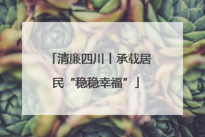 清廉四川丨承载居民“稳稳幸福”