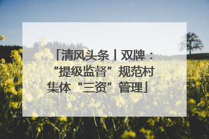 清风头条丨双牌：“提级监督”规范村集体“三资”管理