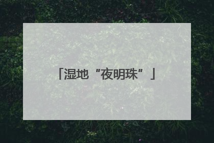 湿地“夜明珠”